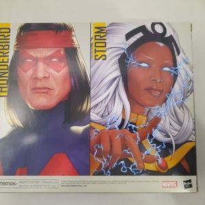 New Marvel Legends STORM & THUNDERBIRD